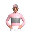 Jockey Silk