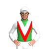 Jockey Silk