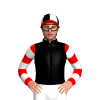 Jockey Silk