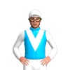 Jockey Silk