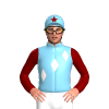 Jockey Silk