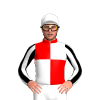 Jockey Silk