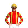 Jockey Silk