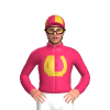 Jockey Silk