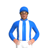 Jockey Silk