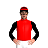 Jockey Silk