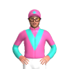 Jockey Silk