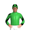 Jockey Silk