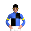 Jockey Silk