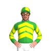 Jockey Silk