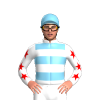 Jockey Silk