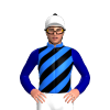 Jockey Silk