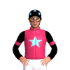 Jockey Silk