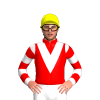 Jockey Silk