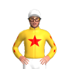 Jockey Silk