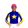 Jockey Silk
