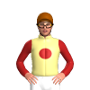 Jockey Silk