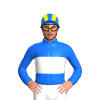 Jockey Silk