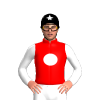Jockey Silk