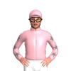 Jockey Silk