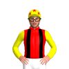 Jockey Silk
