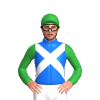 Jockey Silk