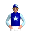 Jockey Silk