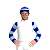 Jockey Silk