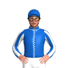 Jockey Silk
