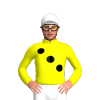 Jockey Silk