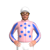Jockey Silk