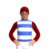 Jockey Silk