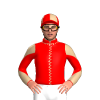 Jockey Silk