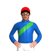 Jockey Silk