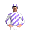Jockey Silk