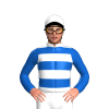 Jockey Silk