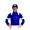 Jockey Silk