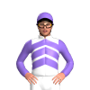 Jockey Silk