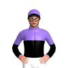 Jockey Silk