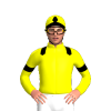 Jockey Silk