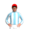 Jockey Silk