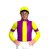 Jockey Silk