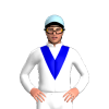 Jockey Silk