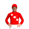 Jockey Silk