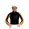 Jockey Silk