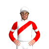 Jockey Silk
