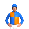 Jockey Silk