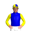 Jockey Silk