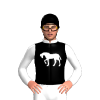 Jockey Silk