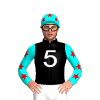 Jockey Silk